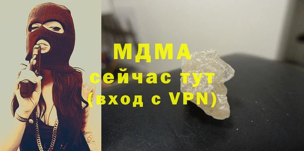 индика Богородицк