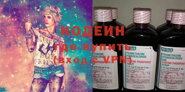 индика Богородицк
