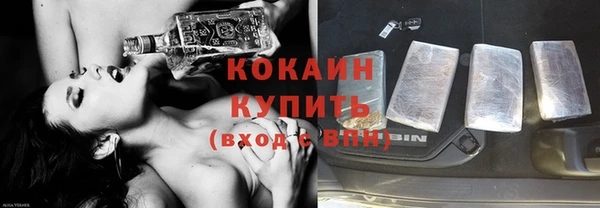 индика Богородицк