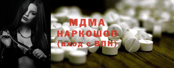 индика Богородицк