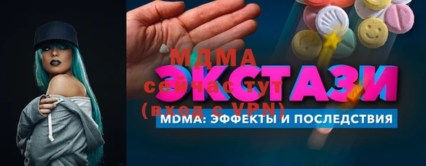 индика Богородицк