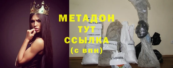 индика Богородицк
