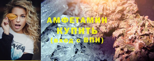 индика Богородицк