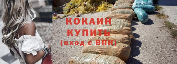 индика Богородицк