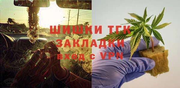 индика Богородицк