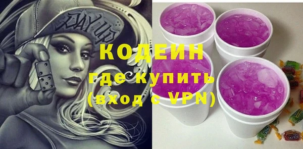 индика Богородицк