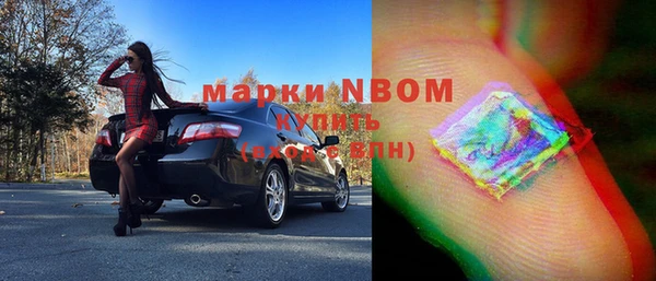 индика Богородицк