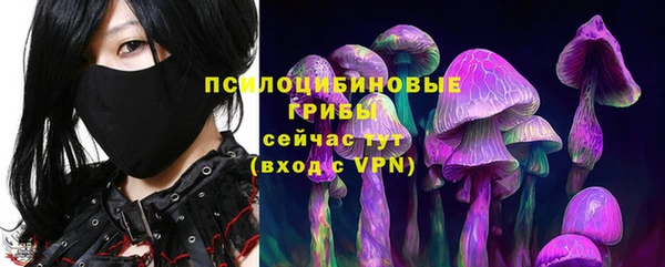 индика Богородицк