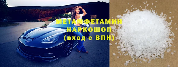 индика Богородицк